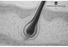 Why does hair color change after chemotherapy?